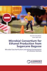 Microbial Consortium for Ethanol Production from Sugarcane Bagasse