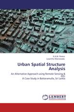 Urban Spatial Structure Analysis