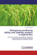 Divergence,combining ability and stability analysis in Hybrid Rice