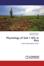 Physiology of Sub 1 QTL in Rice