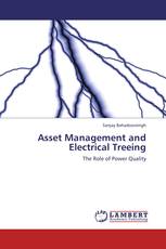 Asset Management and Electrical Treeing