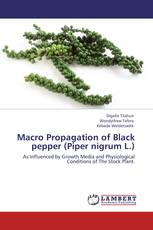 Macro Propagation of Black pepper (Piper nigrum L.)