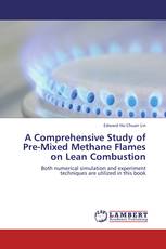 A Comprehensive Study of Pre-Mixed Methane Flames on Lean Combustion