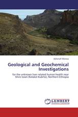 Geological and Geochemical Investigations