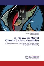 A Freshwater Murrel Channa Gachua, channidae