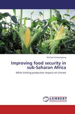 Improving food security in sub-Saharan Africa