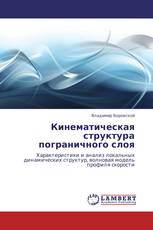 Кинематическая структура пограничного слоя