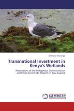 Transnational Investment in Kenya's Wetlands