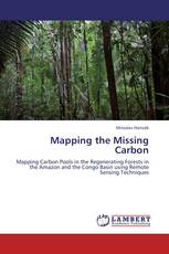 Mapping the Missing Carbon