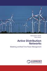 Active Distribution Networks