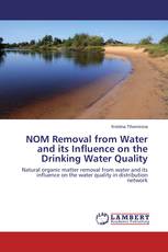 NOM Removal from Water and its Influence on the Drinking Water Quality