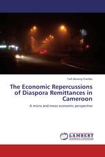 The Economic Repercussions of Diaspora Remittances in Cameroon
