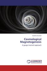 Cosmological Magnetogenesis