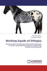 Working Equids of Ethiopia