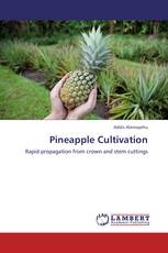 Pineapple Cultivation