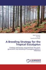 A Breeding Strategy for the Tropical Eucalyptus