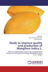 Study to improve quality  and production of  Mangifera indica L.