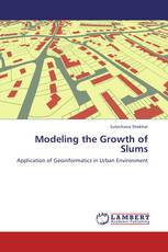 Modeling the Growth of Slums