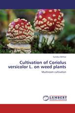 Cultivation of Coriolus versicolor L. on weed plants