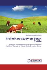 Preliminary Study on Boran Cattle