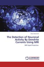 The Detection of Neuronal Activity By Dendrite Currents Using MRI