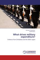 What drives military expenditure?