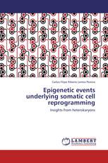 Epigenetic events underlying somatic cell reprogramming