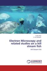 Electron Microscopy and related studies on a hill stream fish