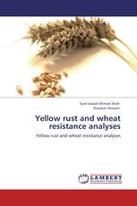 Yellow rust and wheat resistance analyses