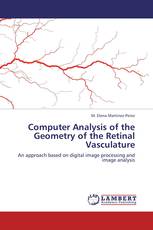 Computer Analysis of the Geometry of the Retinal Vasculature