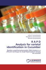 R A P D  Analysis for varietal identification in Cucumber