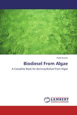 Biodiesel From Algae