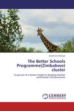 The Better Schools Programme(Zimbabwe) cluster
