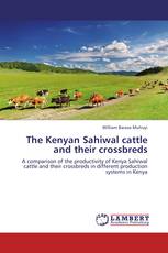 The Kenyan Sahiwal cattle and their crossbreds
