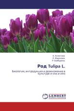 Род Tulipa L.