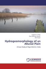 Hydrogeomorphology of an Alluvial Plain