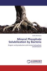 Mineral Phosphate Solubilization by Bacteria