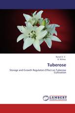 Tuberose