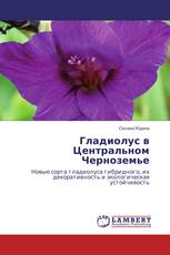 Гладиолус в Центральном Черноземье