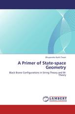 A Primer of State-space Geometry