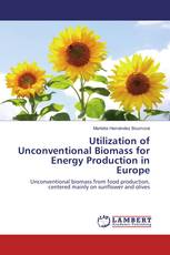 Utilization of Unconventional Biomass for Energy Production in Europe