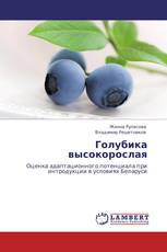 Голубика высокорослая