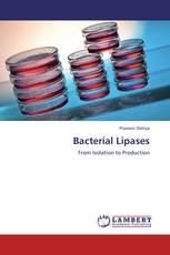 Bacterial Lipases