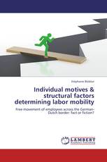 Individual motives & structural factors determining labor mobility
