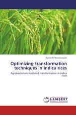 Optimizing transformation techniques  in indica rices