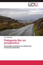 Patagonia Sur en prospectiva