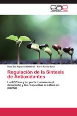 Regulación de la Síntesis de Antioxidantes