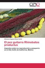 El pez guitarra Rhinobatos productus