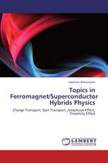 Topics in Ferromagnet/Superconductor Hybrids Physics