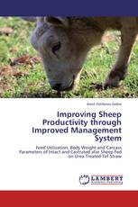 Improving Sheep Productivity through Improved Management System